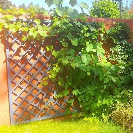 Dom wakacyjny Mała Garda Brodnica Dolna