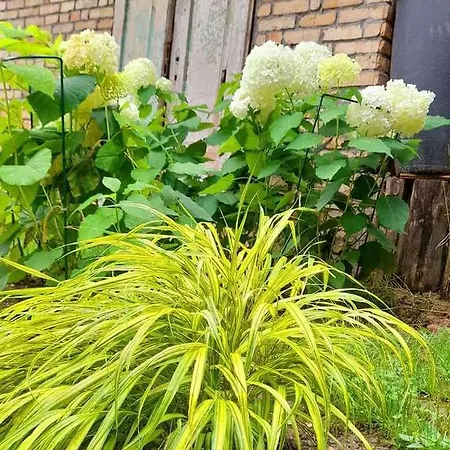 Mala Garda בית נופש *