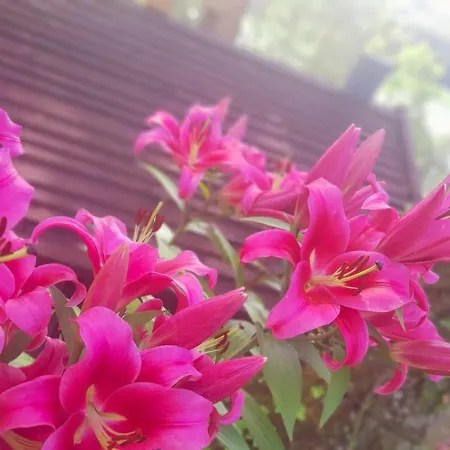 Mala Garda Ferienhaus *