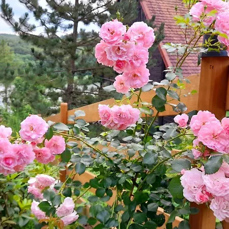 Mala Garda Ferienhaus Brodnica Dolna