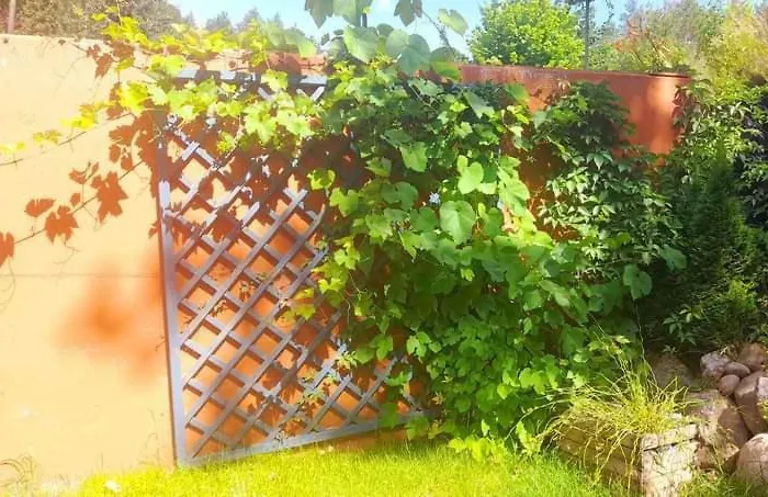 بيت للعطل Mala Garda Brodnica Dolna