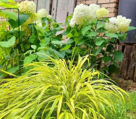 Mala Garda بيت للعطل *